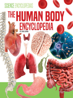 cover image of The Human Body Encyclopedia
